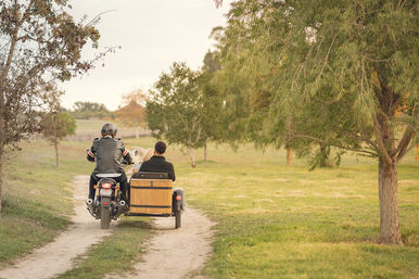 Sunset at the Vineyards: Sidecar Wine Adventure in Paso Robles image 4