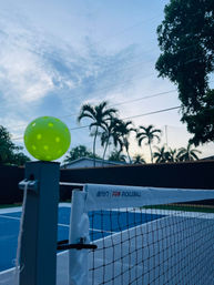 Wandering Emerald: Your Chill Fort Lauderdale Getaway image 4
