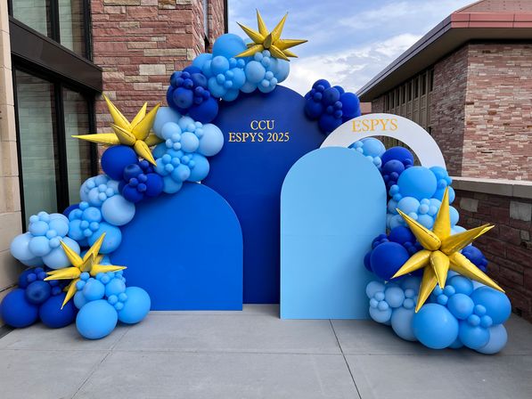 Custom Balloon Garlands & Event Decor for Photo-Ready Celebrations image 11