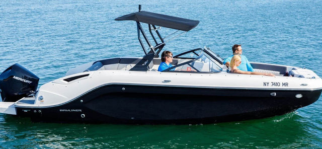 Private 22' 2021 Bayliner Charter For Up to 8 Passengers (BYOB) image 2