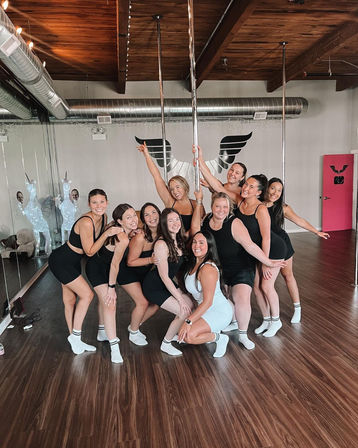 Ultimate Pole, Chair, Twerk, and Silks Party Experience: Money Gun and Complimentary Rosé & Strawberries image 1
