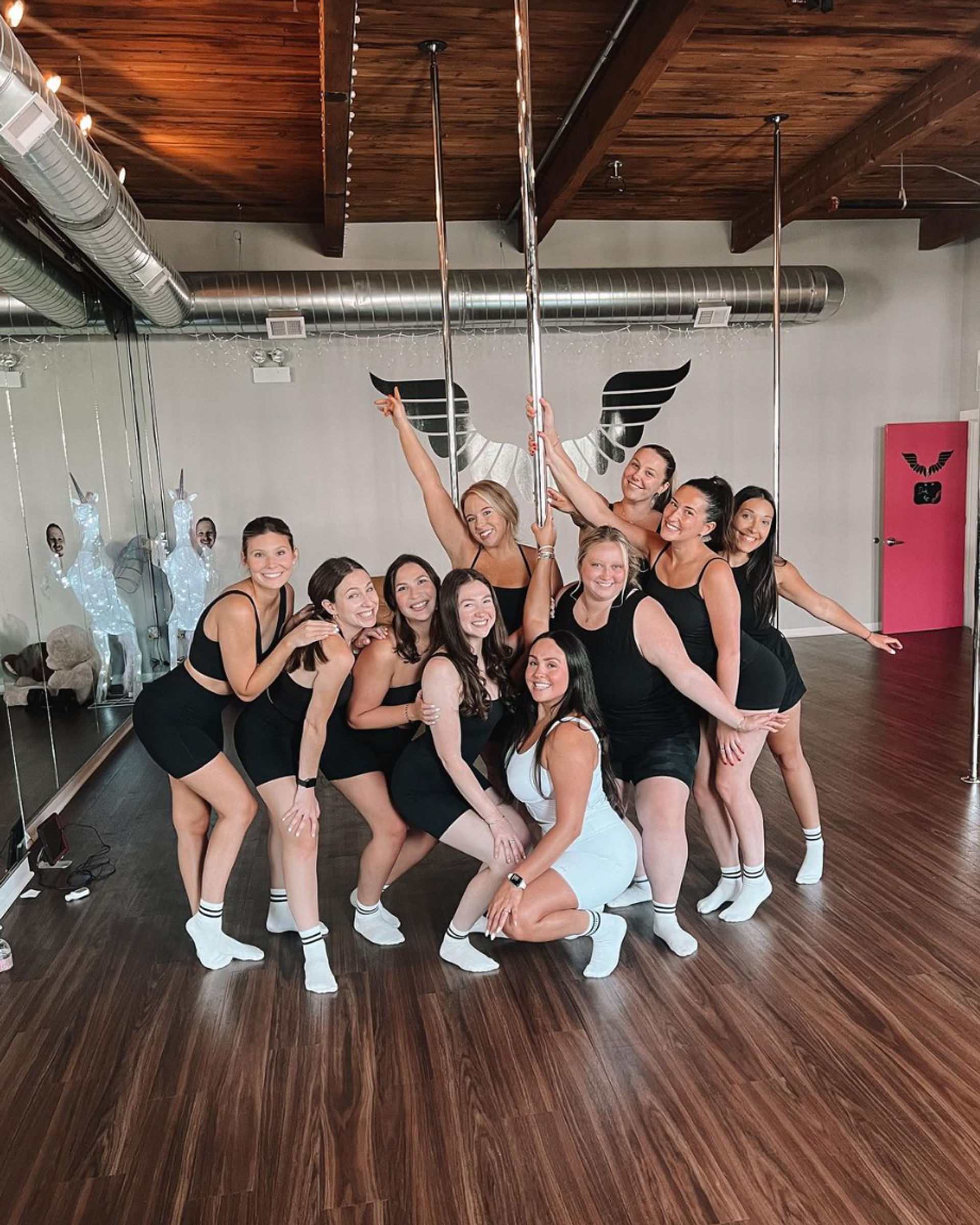 Ultimate Pole, Chair, Twerk, and Silks Party Experience: Money Gun and Complimentary Rosé & Strawberries image 1