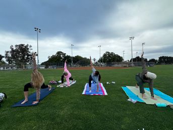 Private Yoga Class at the Beach, Park, or Your Airbnb image 7
