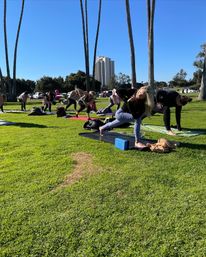 Private Yoga Class at the Beach, Park, or Your Airbnb image 9