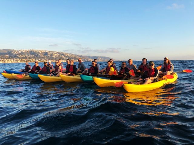 Ocean Kayak Eco Tour & Wildlife Viewing: Sea Lions, Dolphins, Whales image 5