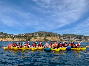 Ocean Kayak Eco Tour & Wildlife Viewing: Sea Lions, Dolphins, Whales image 2