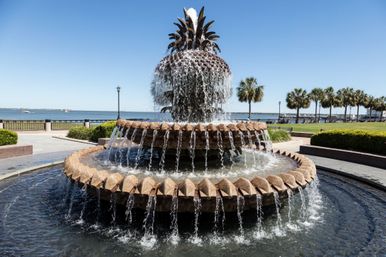 Private & Group Driving Tours of Charleston image 4