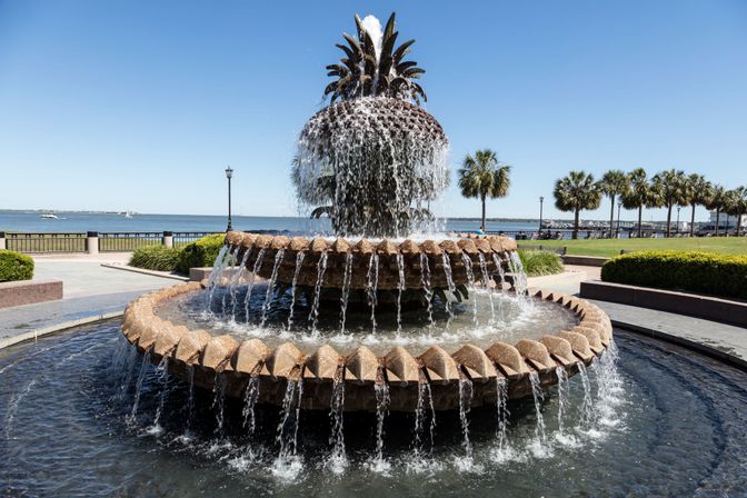 Private & Group Driving Tours of Charleston image 4