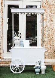 Private Mobile Champagne Bar Experience with Tampa Bay Bubble Bar (BYOB) image 14