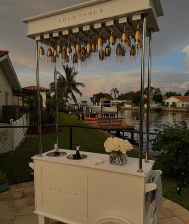 Private Mobile Champagne Bar Experience with Tampa Bay Bubble Bar (BYOB) image 12