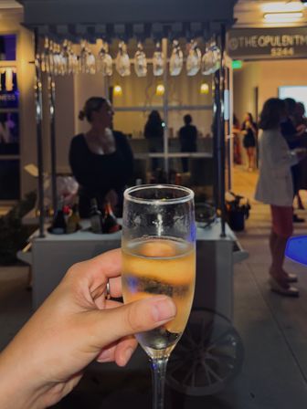 Private Mobile Champagne Bar Experience with Tampa Bay Bubble Bar (BYOB) image 16