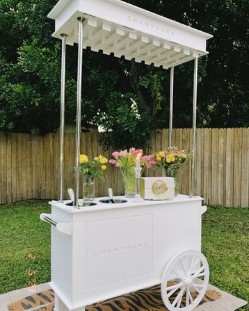 Private Mobile Champagne Bar Experience with Tampa Bay Bubble Bar (BYOB) image 8