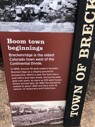 Adventure Scenic Tours Colorado: Guided Trip to Breckenridge  image 2