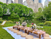 Thumbnail image for Luxury Picnic or Dinner Party Experience in NYC