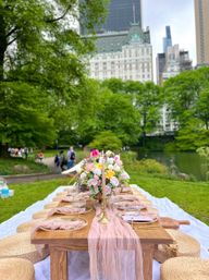 Luxury Picnic or Dinner Party Experience in NYC image 3