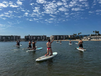 Sea Lion Stand Up Paddleboard Lesson with Tour Pics Included! image 4