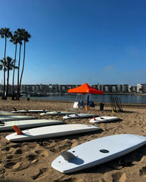 Sea Lion Stand Up Paddleboard Lesson with Tour Pics Included! image 5