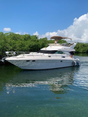 Private 50' Flybridge Luxury Yacht Charter: Cruise & Snorkel around Isla Mujeres & Cancun Lagoon image 8