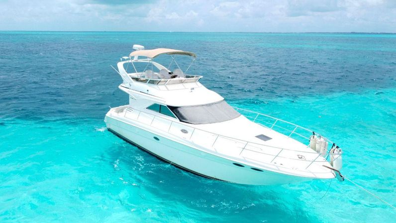 Private 50' Flybridge Luxury Yacht Charter: Cruise & Snorkel around Isla Mujeres & Cancun Lagoon image 10