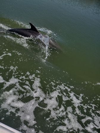 Coastal Boat Cruise and Dockside Bar Crawl (BYOB) image 8