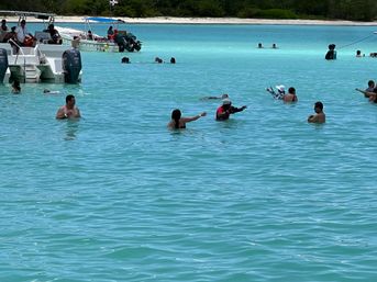 Saona Island Day Tour: Catamaran, Beach & Caribbean Adventure image 15