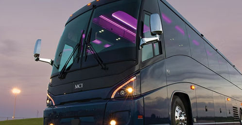 Baton Rouge Blitz - Roundtrip Luxury Transportation to LSU Football Games image 2