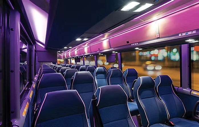 Baton Rouge Blitz - Roundtrip Luxury Transportation to LSU Football Games image 3