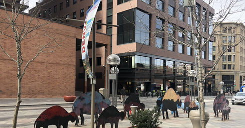 Denver and Red Rocks Amphitheater Fun Tour with Stops at Historic Capitol Hill, Buffalo Bill's Gravesite & More image
