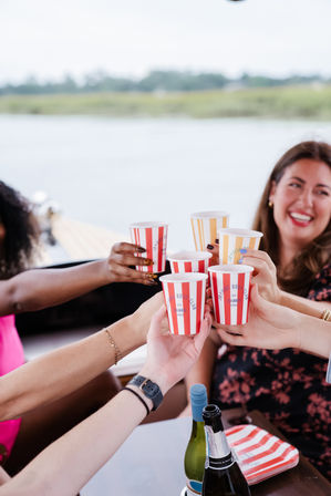 Private Brunch Cruise: A Luxury, 100% Electric, Captained Boat Charter image 4