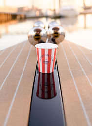 Private Brunch Cruise: A Luxury, 100% Electric, Captained Boat Charter image 7