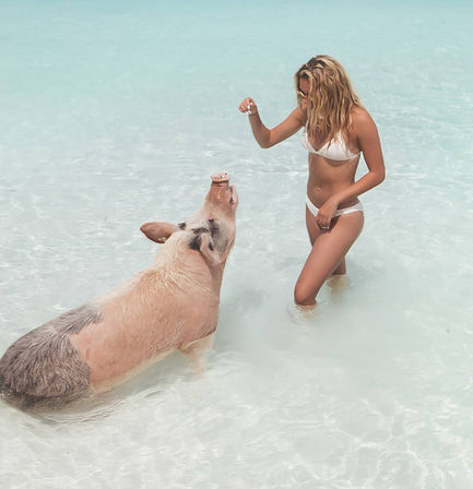 Swim with the Famous Exuma Pigs on an Island Adventure from Nassau image 6