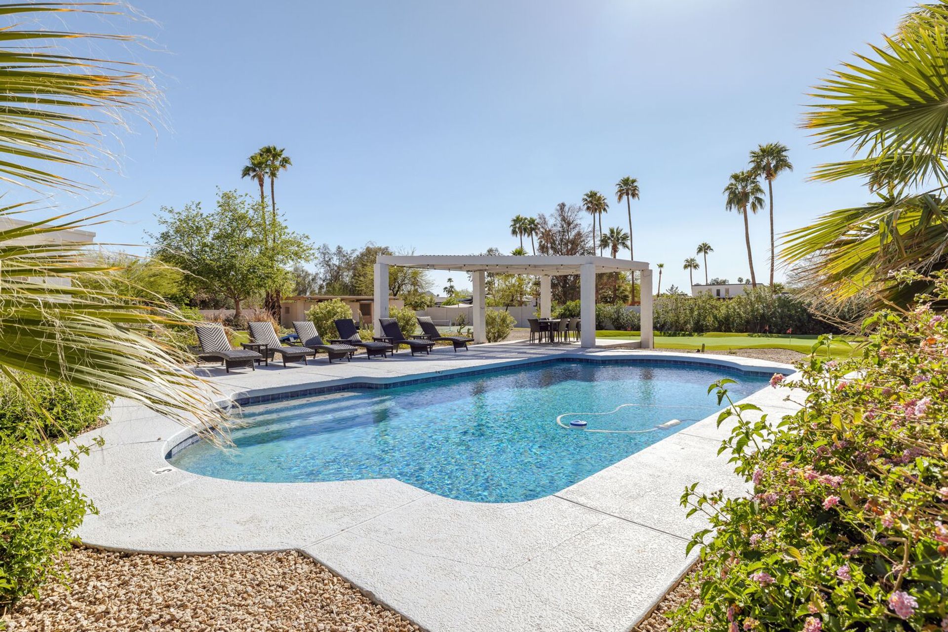 Nets & Nine Oasis: Pool, Vibes & Prime Old Town Location image 2
