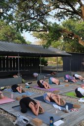 Private Group Yoga Class at Your Airbnb, VRBO, or In-Studio image 7