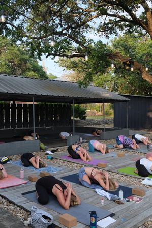 Private Group Yoga Class at Your Airbnb, VRBO, or In-Studio image 7