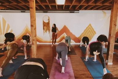Private Group Yoga Class at Your Airbnb, VRBO, or In-Studio image 3
