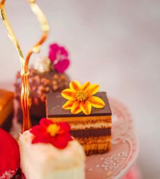 Miracle Potion's High Afternoon Tea Experience image 6