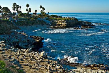 San Diego Scavenger Hunt: Creative Soul of La Jolla Cove image 4