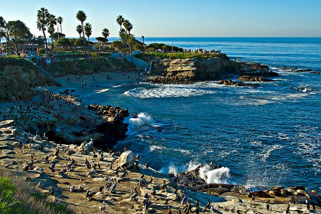 San Diego Scavenger Hunt: Creative Soul of La Jolla Cove image 4