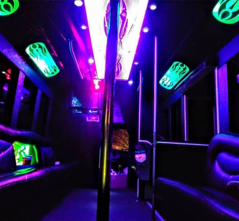 Private BYOB Party Bus Rental with Sound System & Dance Pole (Up to 22 Passengers) image 2