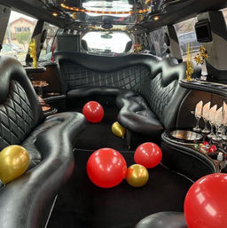 Private BYOB Party Bus Rental with Sound System & Dance Pole (Up to 22 Passengers) image 11