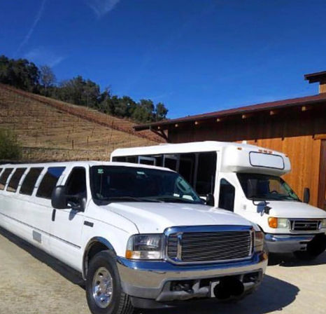 Private BYOB Party Bus Rental with Sound System & Dance Pole (Up to 22 Passengers) image 8