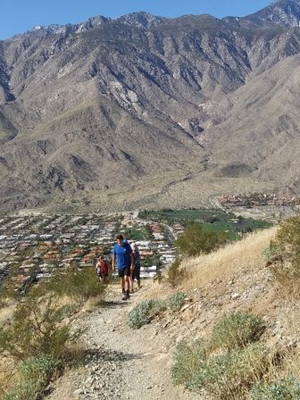 Loop Hike with 360-Degree View of Coachella Valley, Joshua Tree, Indian Canyons, and Even Endangered Bighorn Sheep image 5