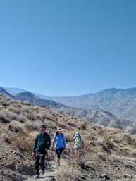 Loop Hike with 360-Degree View of Coachella Valley, Joshua Tree, Indian Canyons, and Even Endangered Bighorn Sheep image 13