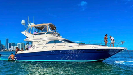 "Fantasea" 40' Sea Ray Flybridge Yacht Charter image 1