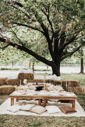 Insta-Worthy Luxury Picnic with Mini Photography Session, Charcuterie or Brunch Boards & More image 14