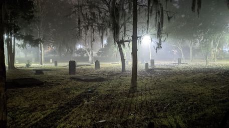 Bad Kitty Haunted Pub Crawl - Best Savannah Ghost and Spirits Experience image 2