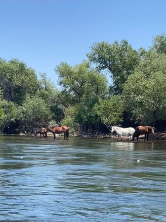 Fun Salt River Tubing Day With Roundtrip Party Ride image 4