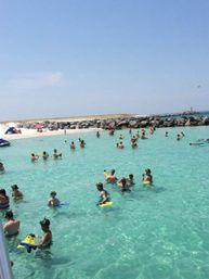 Guided Snorkeling and Dolphin Watching from Destin Harbor image 2