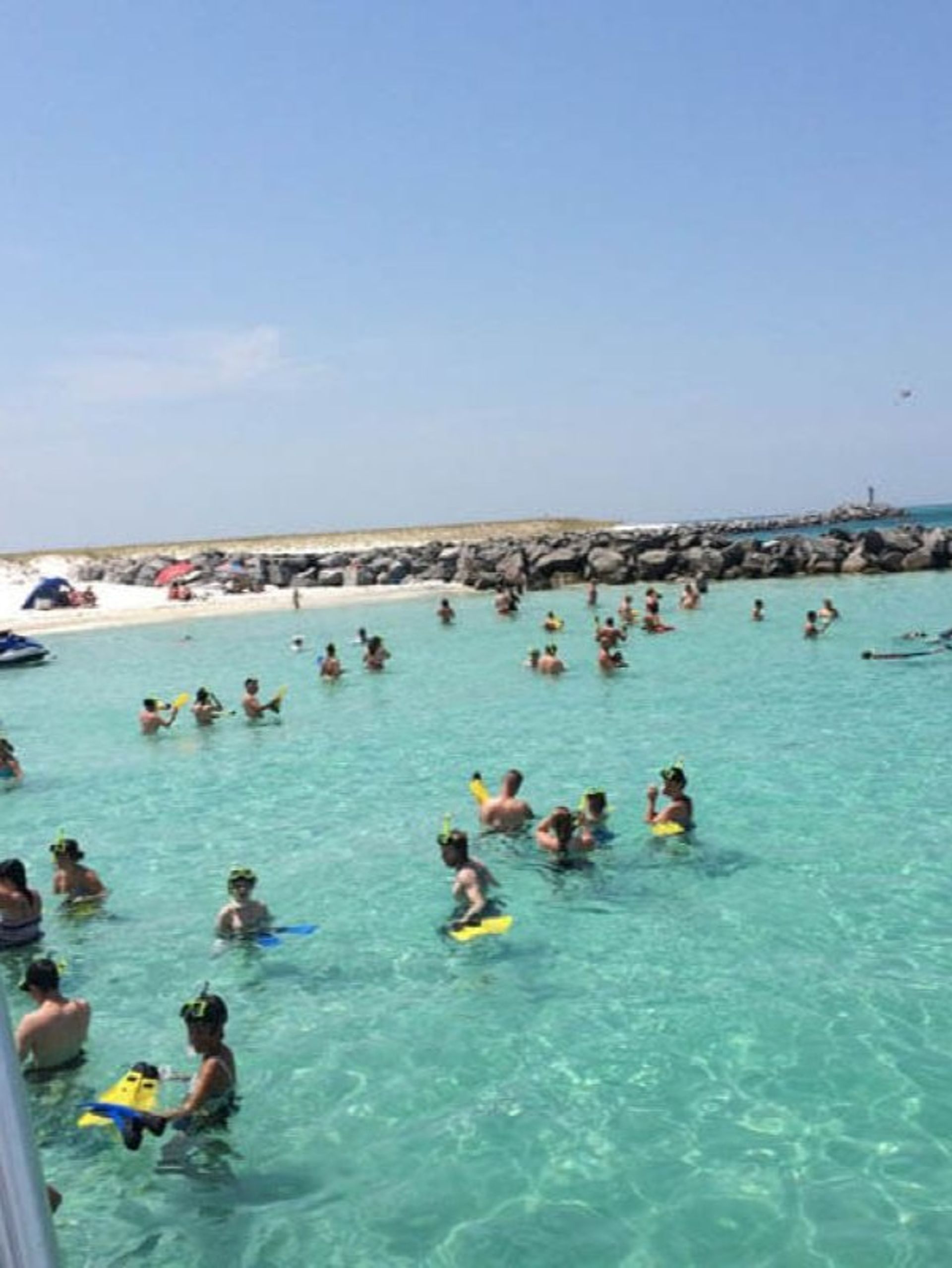Guided Snorkeling and Dolphin Watching from Destin Harbor image 2