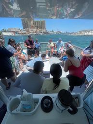 Guided Snorkeling and Dolphin Watching from Destin Harbor image 7